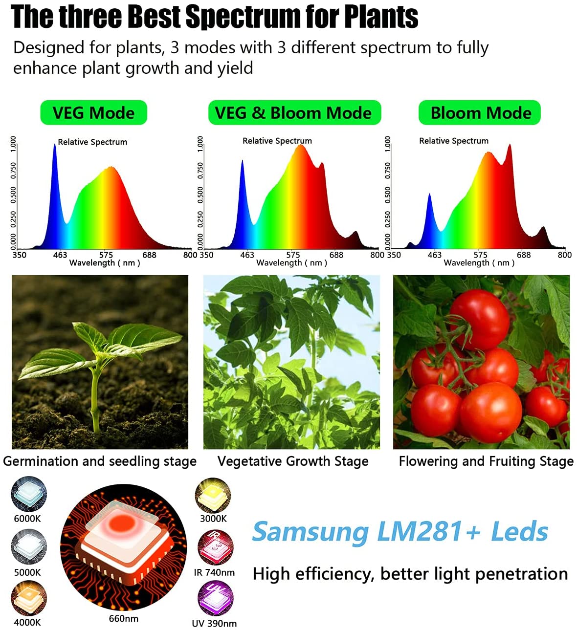 Full Spectrum Grow Lights: Enhancing Plant Growth and Yield