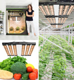 Sonlipo SPC4500 Sonlipo LED Grow Lights, 3 Type of Full Spectrum Grow Light 450W, 5x5 ft Coverage with 2196 Samsung LEDs